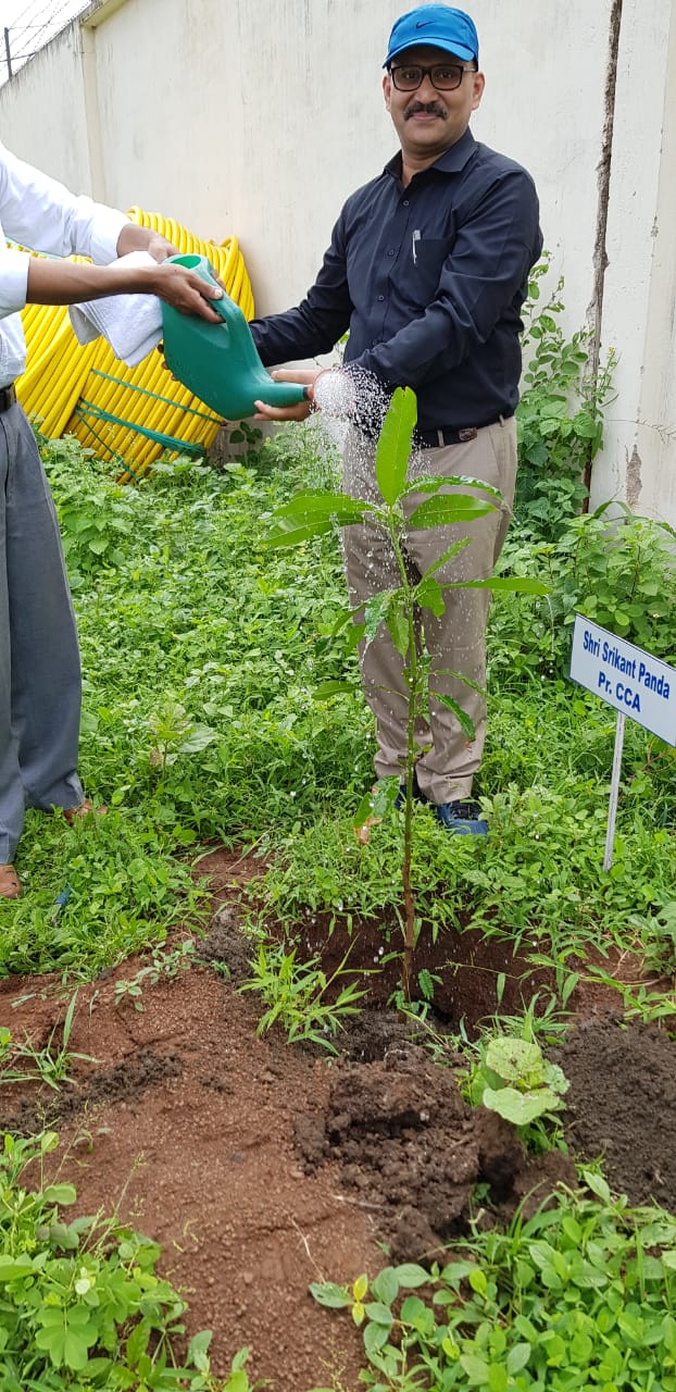 Plantation at Mana land by Pr. CCA Hyderabad Region, CGM BSNL, CCA Chhattisgarh