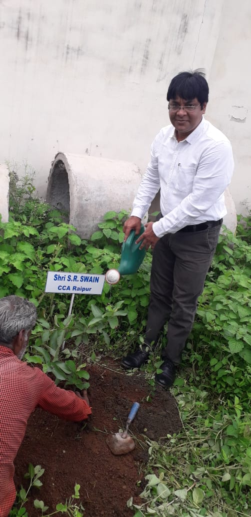 Plantation at Mana land by Pr. CCA Hyderabad Region, CGM BSNL, CCA Chhattisgarh