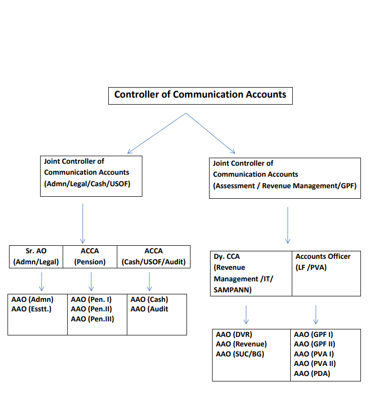 organigation chart