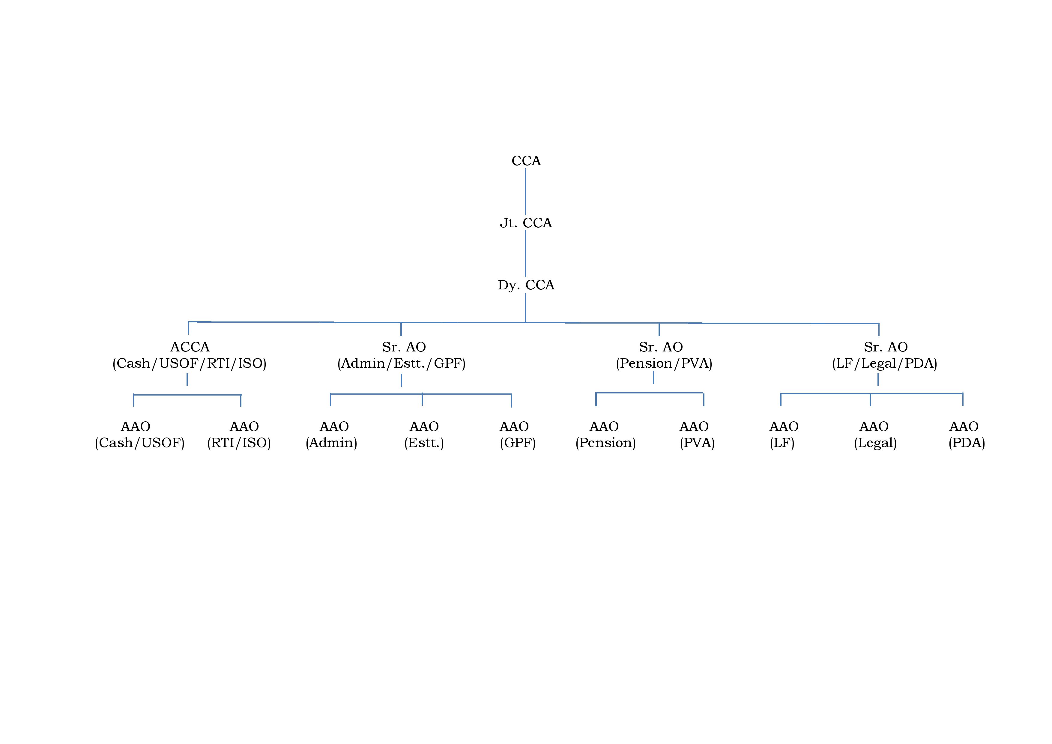 Organization-Chart