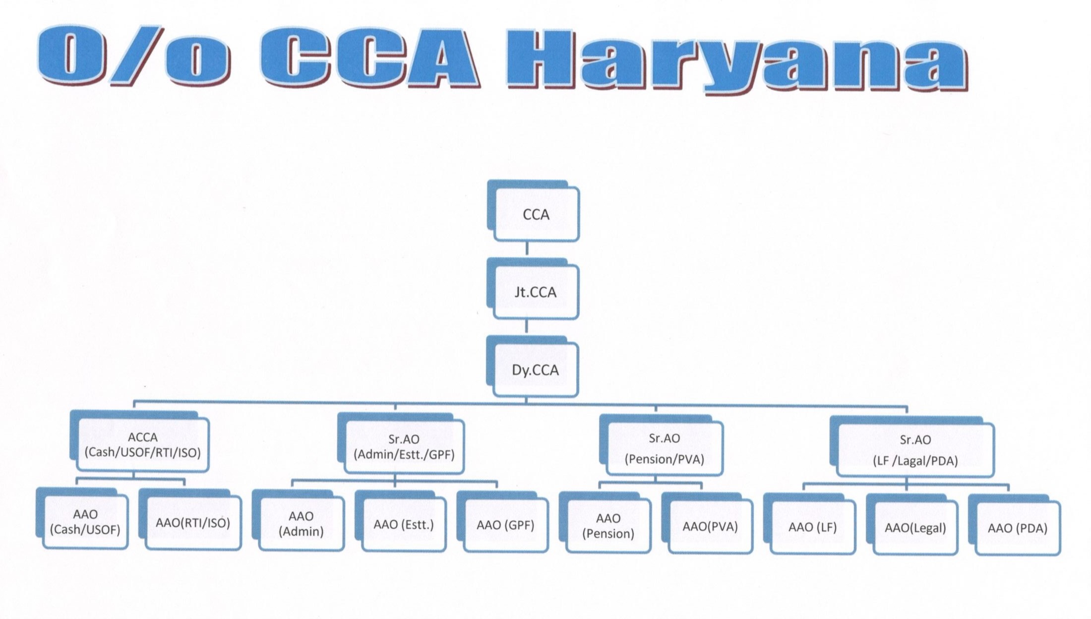 Organization-Chart