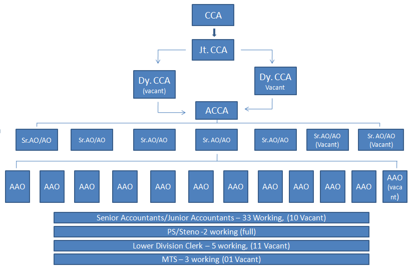 organisation chart