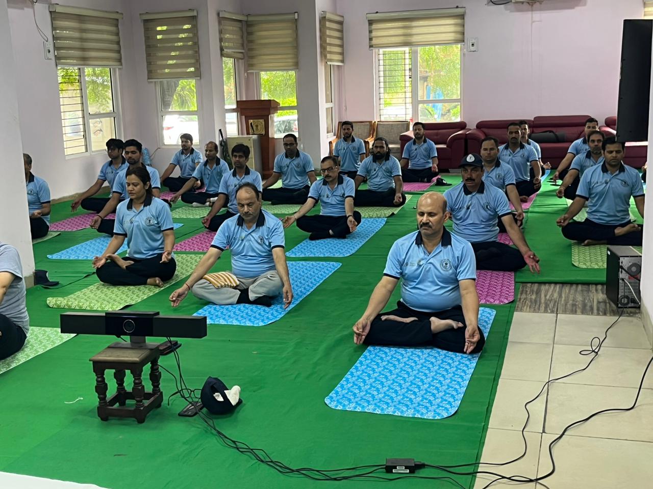 Yoga Day Celebration